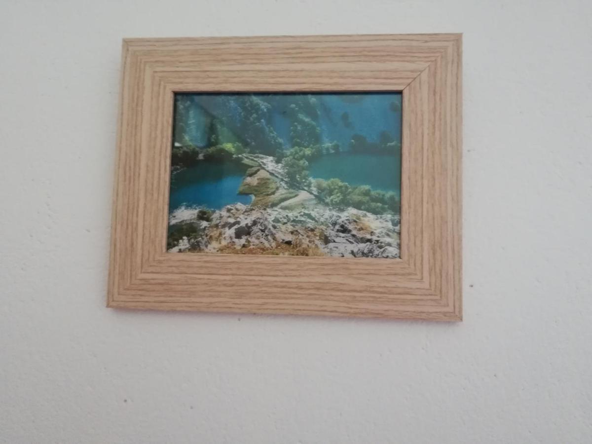 Apartman Volarevic Donji Karin Esterno foto